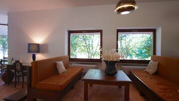 TV connectée, cheminée, table de tennis de table, livres