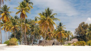A beach with palm trees and a thatched-roof hut.