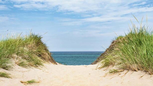A sandy beach path flanked by grass dunes leading to the sea under a clear sky.