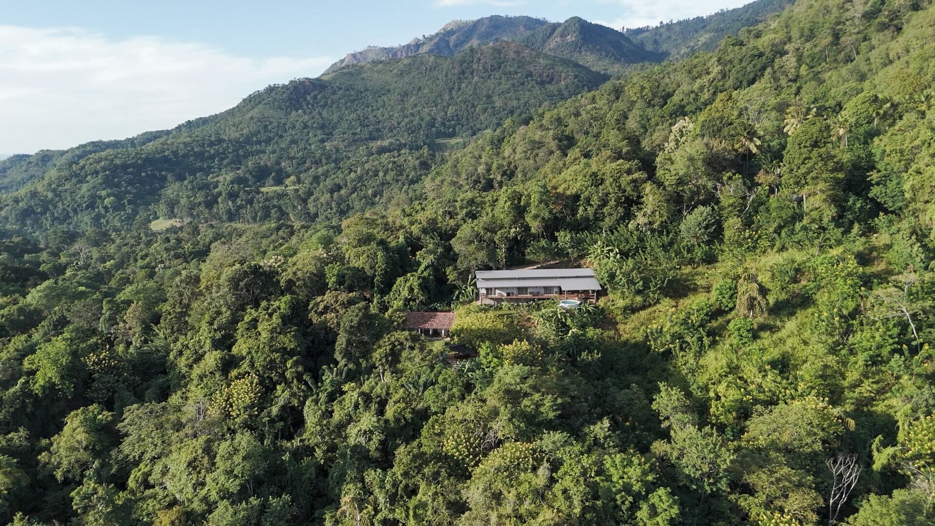 A house nestled in a forested hillside with a view of a mountain in the background.
