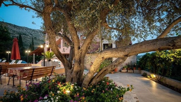 An outdoor seating area with wooden benches and tables, surrounded by flowering plants and a large tree. - Apartments Njirić - Standard Studio with Balcony and Sea View - No.1 (Zaton)