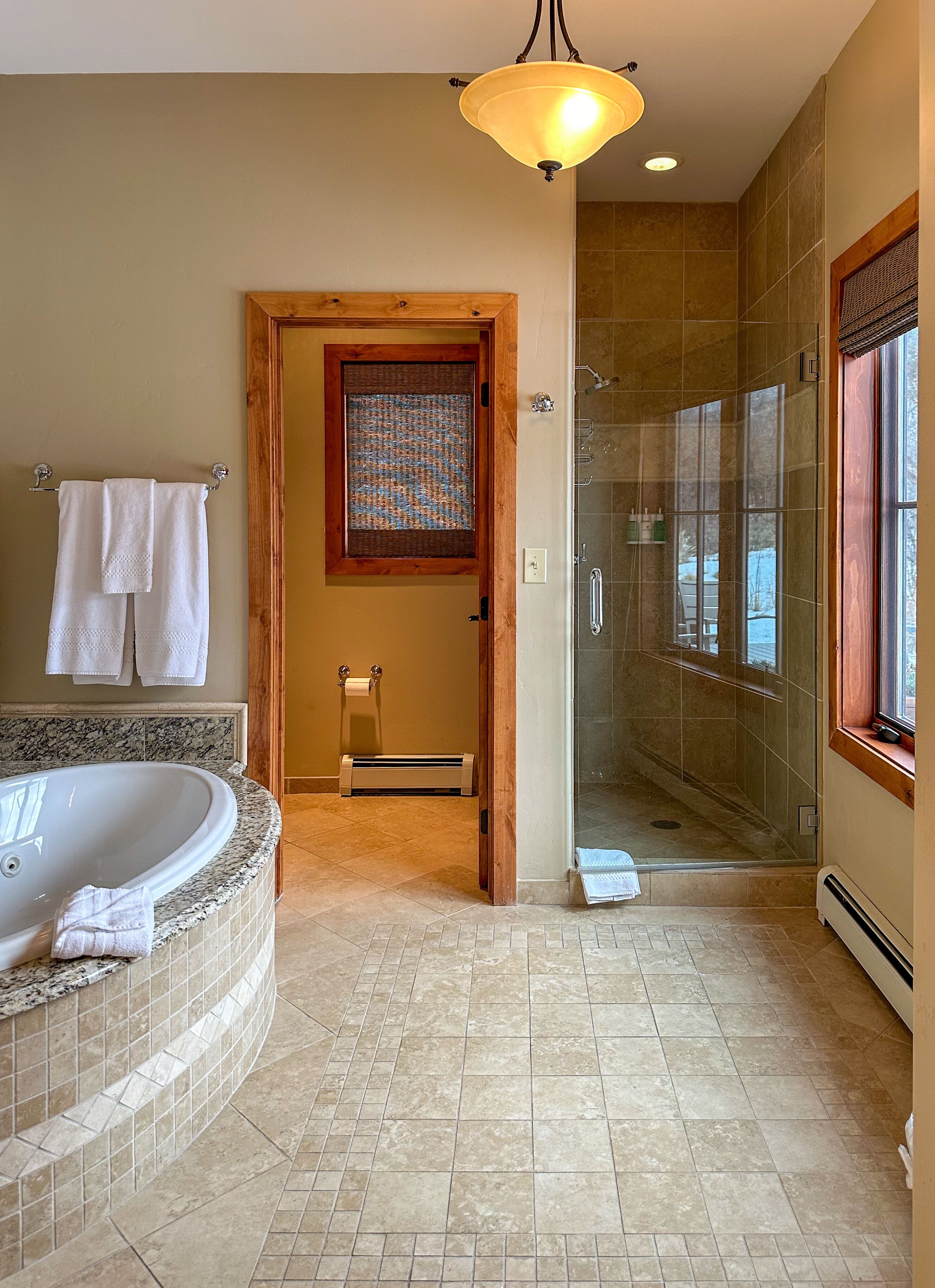 Shower, jetted tub, hair dryer, towels