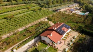 A vineyard with rows of grapevines, a building with solar panels, and a small house with a red roof. - Agriturismo Agricamping GARDA NATURA (Costermano sul Garda)