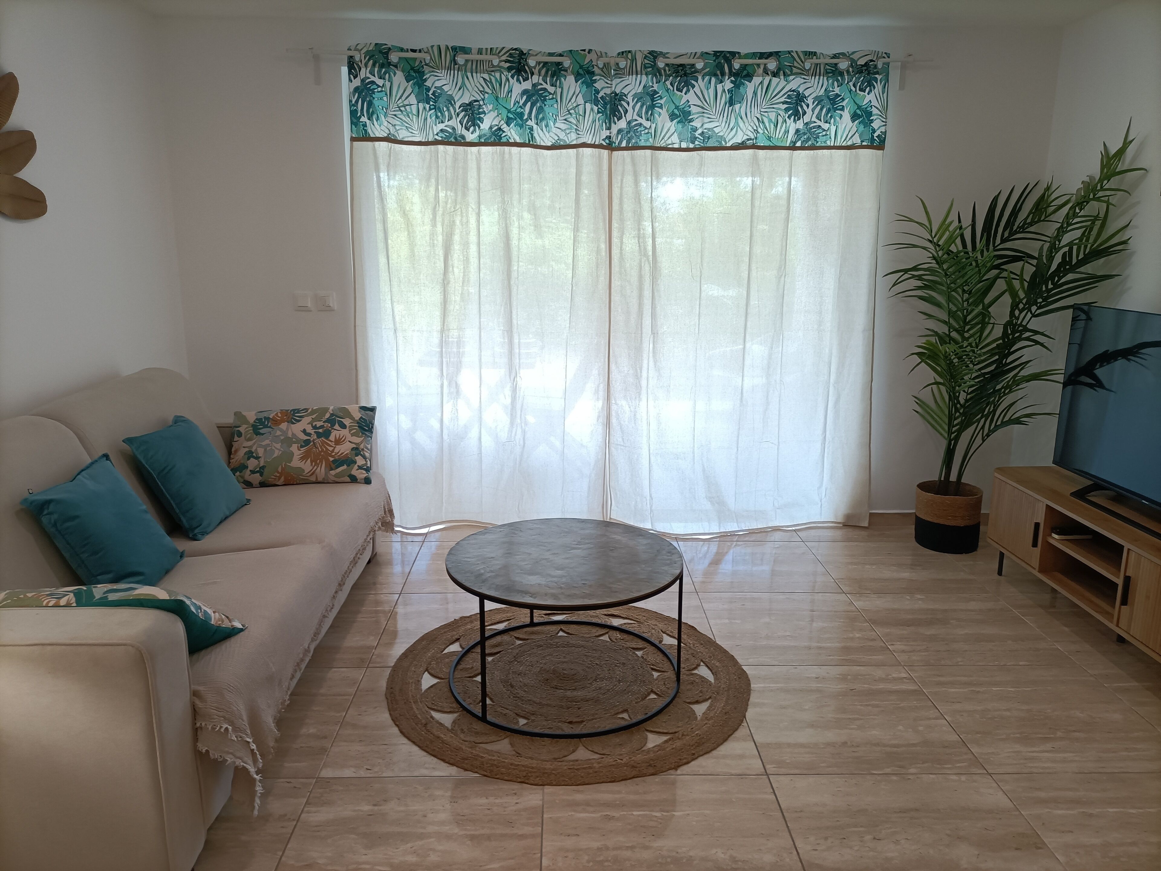 A living room with a sofa, a coffee table, a TV, and a potted plant.