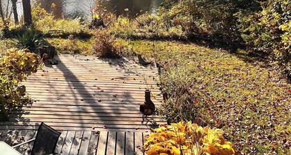 Riverside suite on York River in town free parking