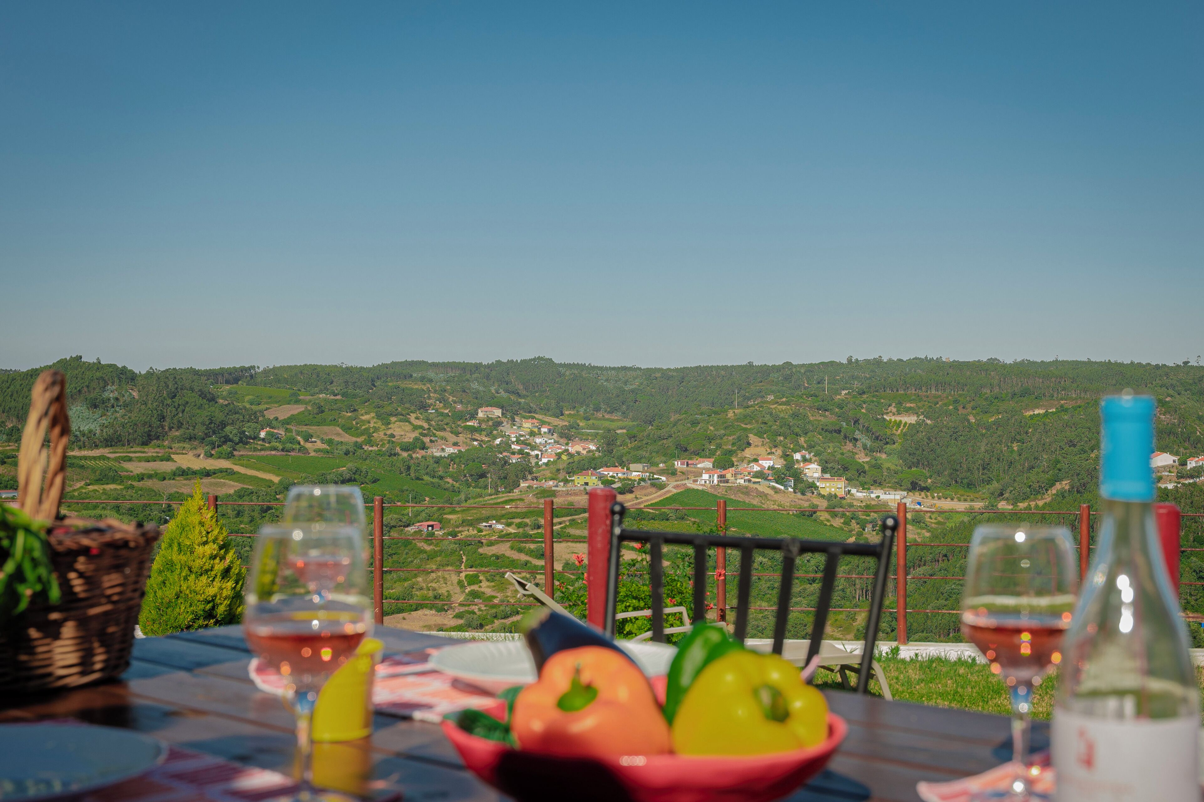 Ein Tisch mit Blick auf ein Tal, eine Weinflasche und eine Schüssel mit Obst.
