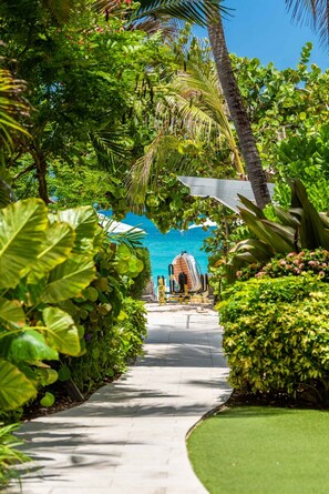 A pathway leading to a beach area with lounge chairs and umbrellas, surrounded by lush greenery and palm trees.