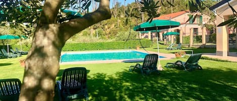 Seasonal outdoor pool, open 8:30 AM to 8:00 PM, pool umbrellas