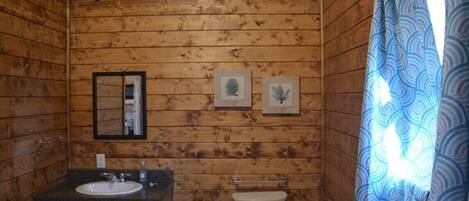A wooden cabin bathroom with a sink, toilet, and two framed pictures on the wall.