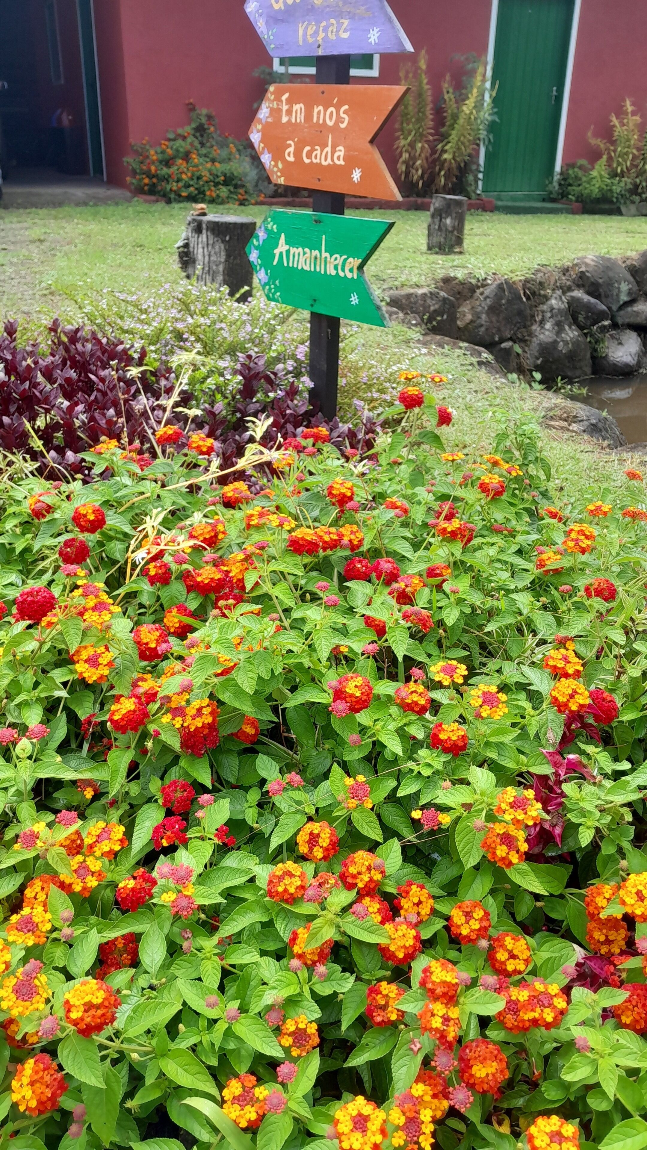 Un jardin agrémenté de fleurs aux couleurs vives et de panneaux indicateurs.