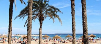 T3 55m² 6 persons Terrace sea view 20 m² Swimming pool 800m beach Lift Parking
