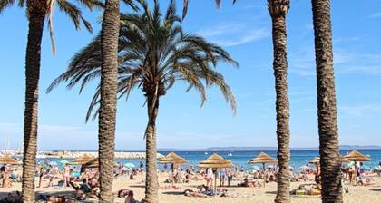 T3 55m² 6 persons Terrace sea view 20 m² Swimming pool 800m beach Lift Parking