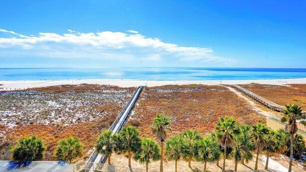 Un paisaje costero con un puente largo, una playa arenosa y palmeras.