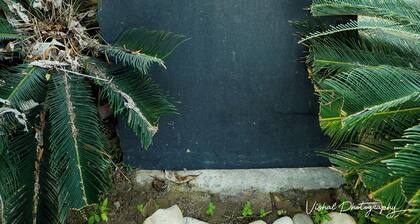 Dreamanor Blissful Stay