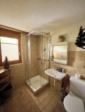 淋浴设施、吹风机、毛巾、肥皂