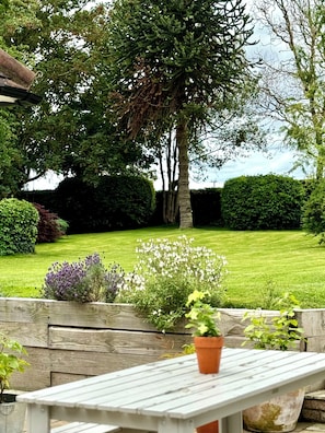 Terrace/patio - Perfect Countryside Cottage (Fyfield)