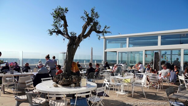 An outdoor dining area with round tables and chairs, a large tree, and a modern building with large windows in the background. - Nice studio with small terrace and parking lot. Only 200 meters from the sandy beach (Bergen aan Zee)