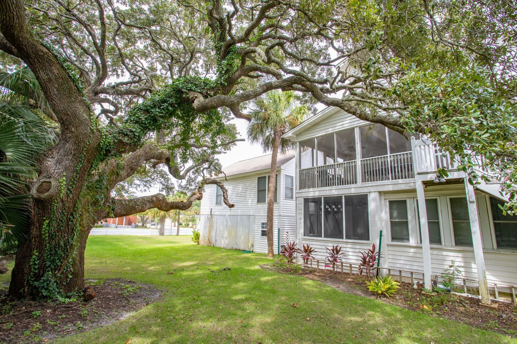 A two-story house with a large tree in the front yard.