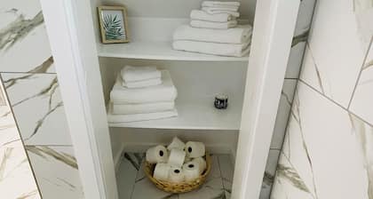 Cozy, modern apartment in downtown PTBO