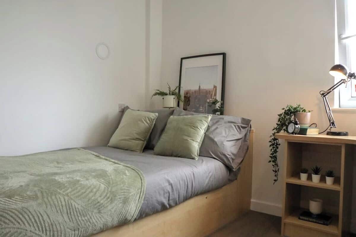 A minimalist bedroom with a bed, a bedside lamp, a shelf with plants, and a framed picture on the wall.