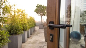 A wooden door with a keyhole and a handle, leading to a pathway lined with potted plants and a distant tree. - Disfruta este Genial Dep en PalermoT707 (Buenos Aires)