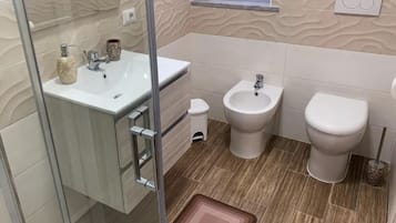 Shower, hair dryer, bidet, towels