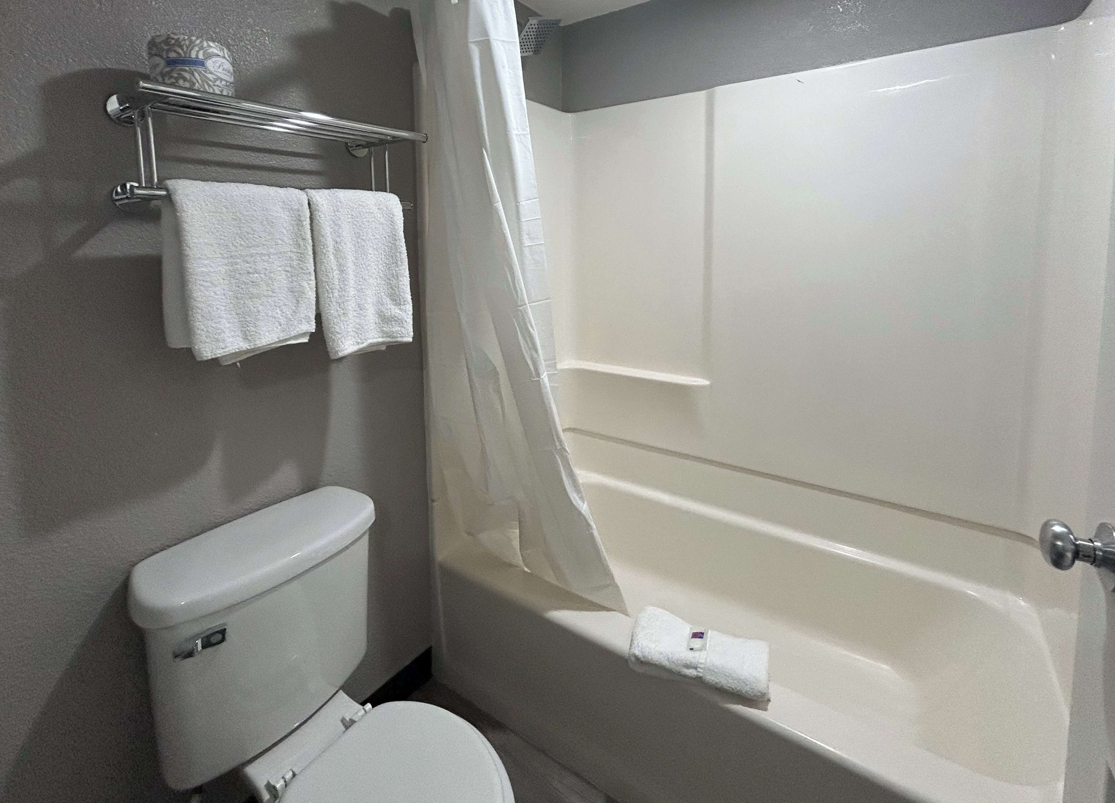A bathroom with a toilet, a bathtub, and a shower curtain.