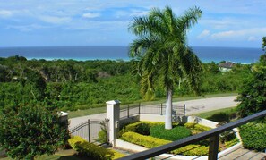Property grounds - Kolibri Villa Luxury Fully Staffed 5 Bedroom Villa with Ocean Views (Montego Bay)