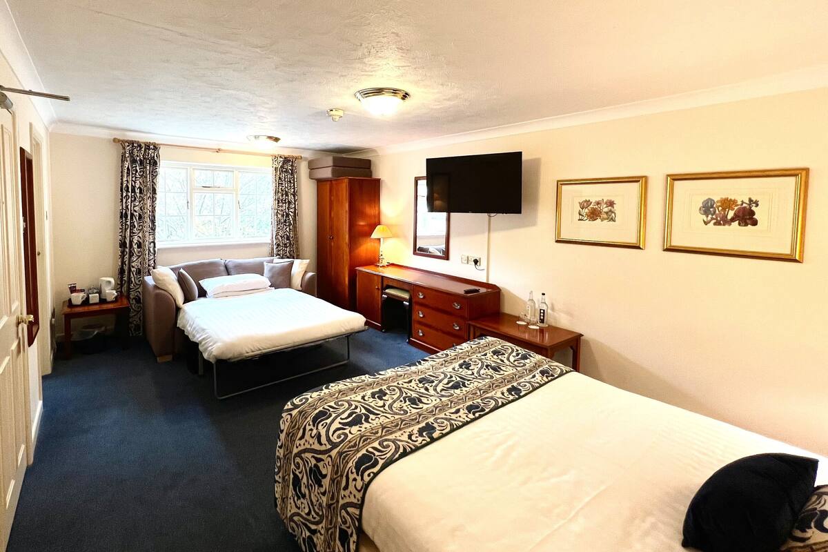 Une chambre d’hôtel avec un lit, un bureau, une chaise, une télévision et deux tableaux encadrés au mur.