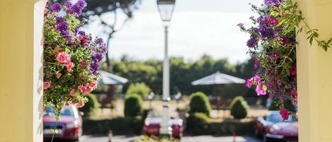Une vue à travers une arche ornée de fleurs suspendues, avec un lampadaire en arrière-plan.