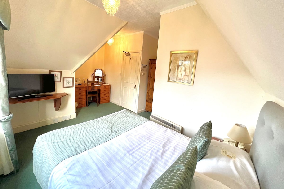 Une chambre à coucher avec un lit, une commode, une télévision et un luminaire au plafond.