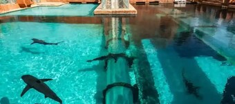 Nassau Beachside Comfort + 2BR Condo + WiFi + AC