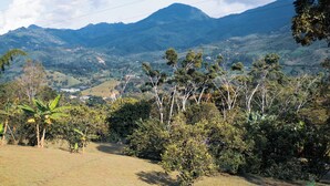A mountainous landscape with a valley and scattered trees.