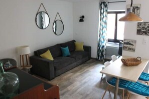 TV - Cosy apartment (Sélestat)