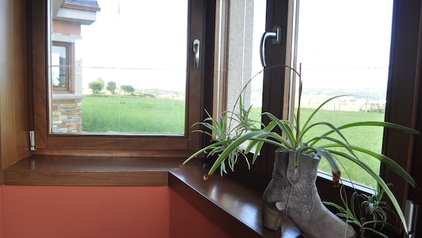 A window with a view of a green field and a building in the distance.