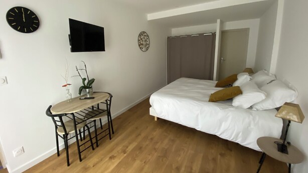 A bedroom with a bed, bedside table, chair, and a small table with plants. - Studio chic l'Auvétia (Arnage)