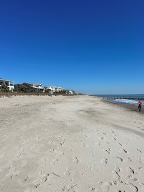 Sun-loungers, beach towels - Golf cart included “Only Young Once” 900 feet from 🏖️ (Edisto Beach)