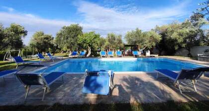 City refuge nestled in nature with swimming pool