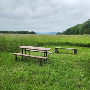 A picnic table in a grassy field with a view of trees and mountains in the distance.