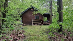 A rustic cabin surrounded by dense forest.