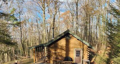 Charming cabin on 30 acres in the Bristol Hills of New York's Finger Lakes area,