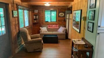 TV connectée, cheminée