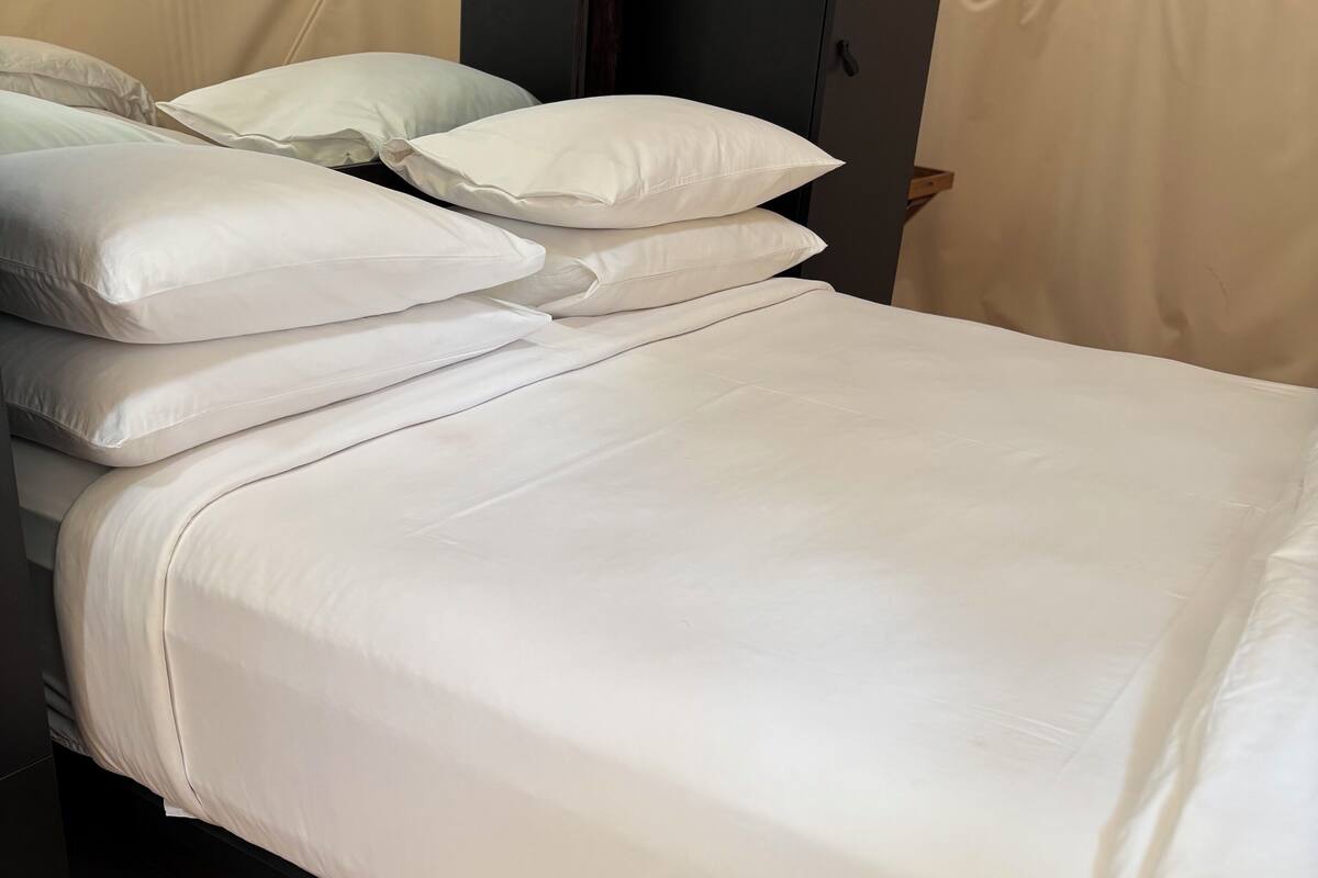 A neatly made bed with white linens and pillows, a dark wooden floor, and a dark-colored headboard.