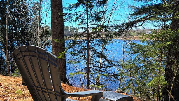 A park bench with a view of a lake and trees.