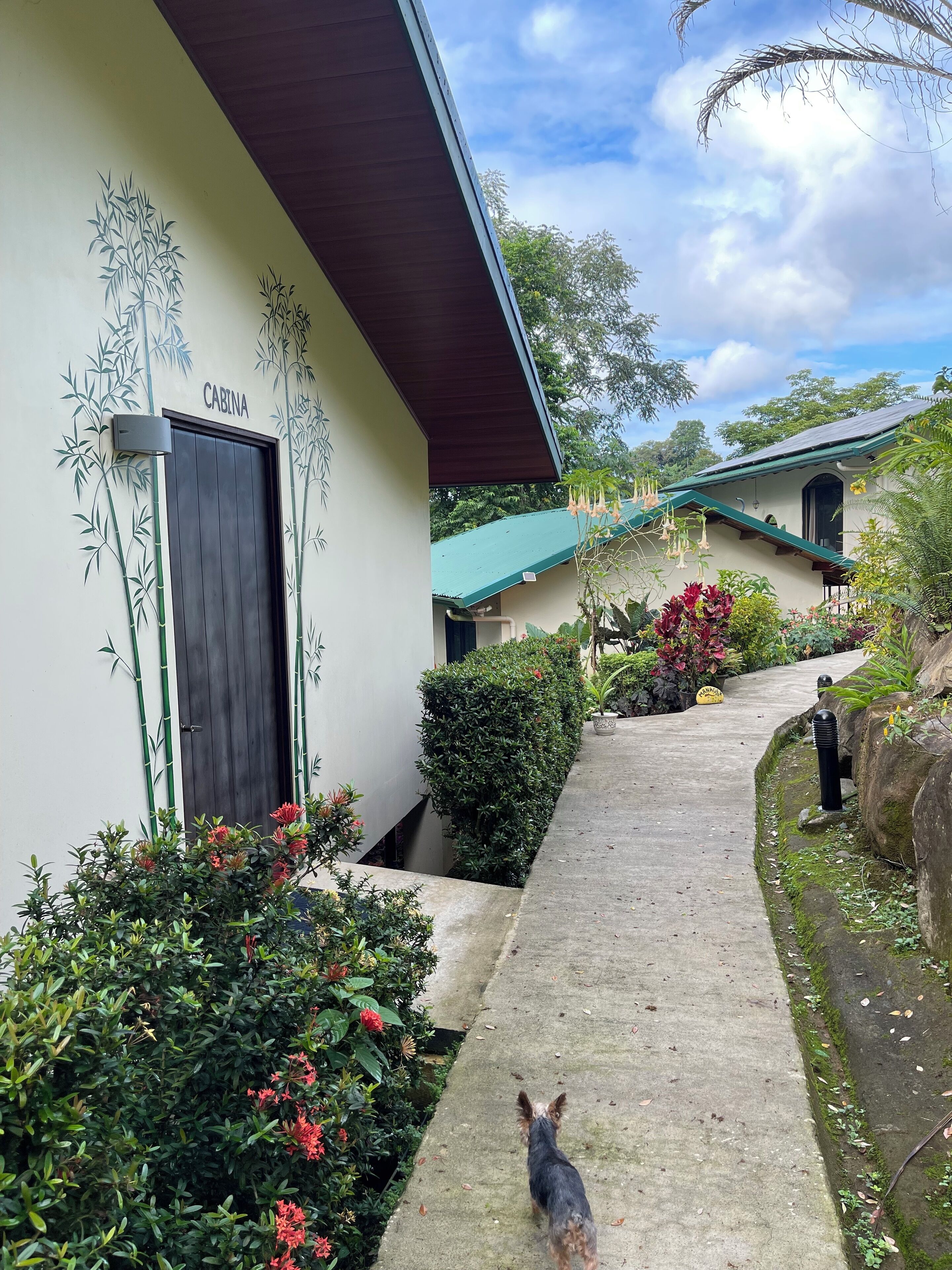 Exterior