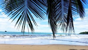 A beach with palm trees and a view of the ocean. - The Mango Tree Villas and Spa (Ciudad Cortés)