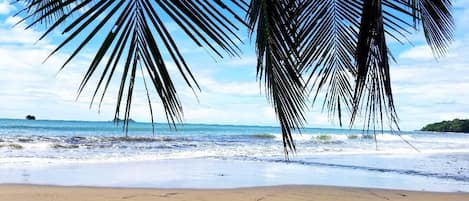 Serviettes de plage