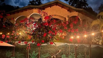 Outdoor pool, pool umbrellas, pool loungers