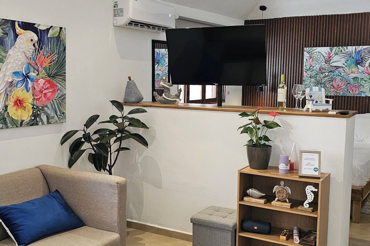 Een woonkamer met een bank, een bijzettafeltje met fruit, een televisie en een wandairconditioner.