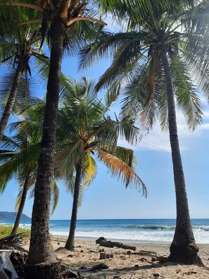 ชายหาด